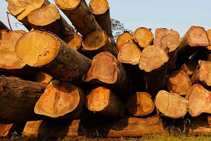 American Oak Product Wood