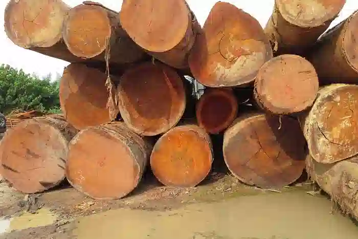 Brazilian Mahogany wood