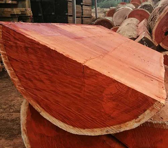 padauk wood log