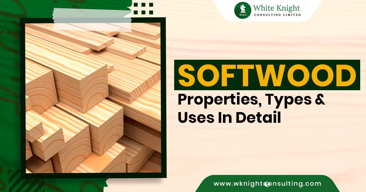 Types of Softwood with Properties & Uses in Detail