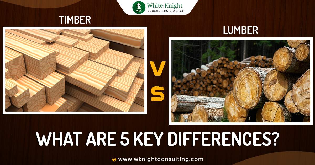 difference between timber and lumber