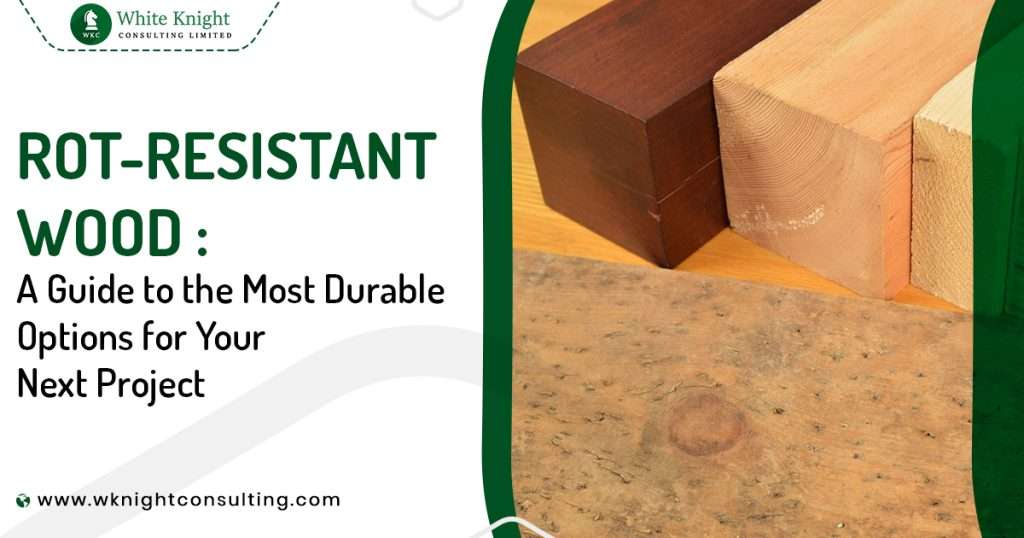 How to Choose RotResistant Wood 6 Durable Options