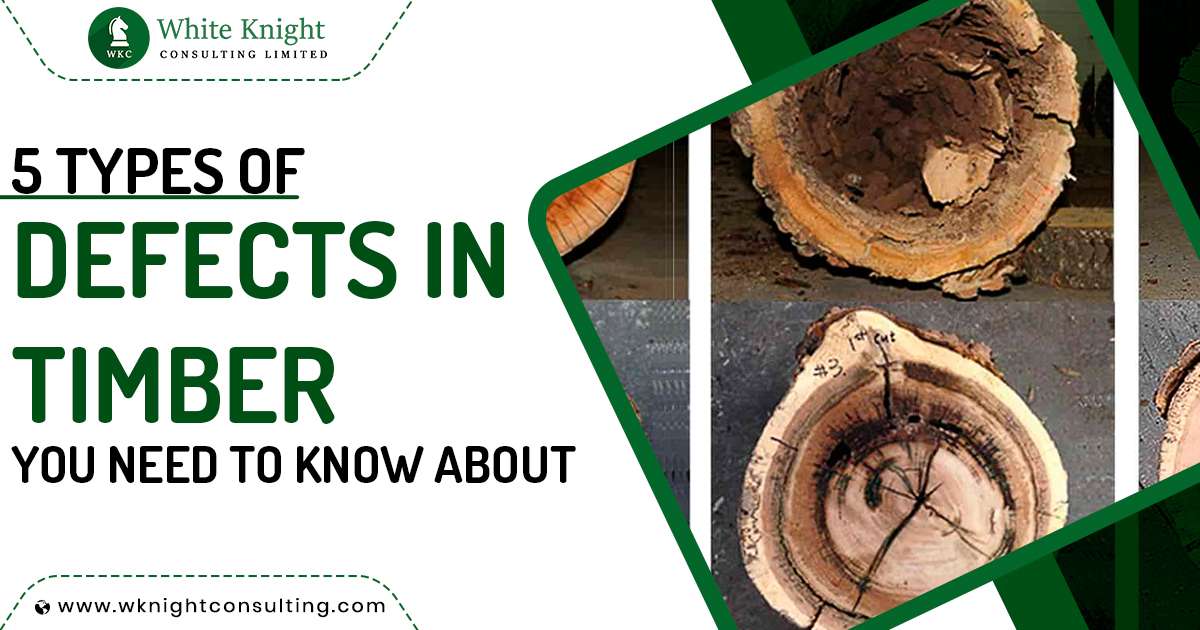 different types of defects in timber