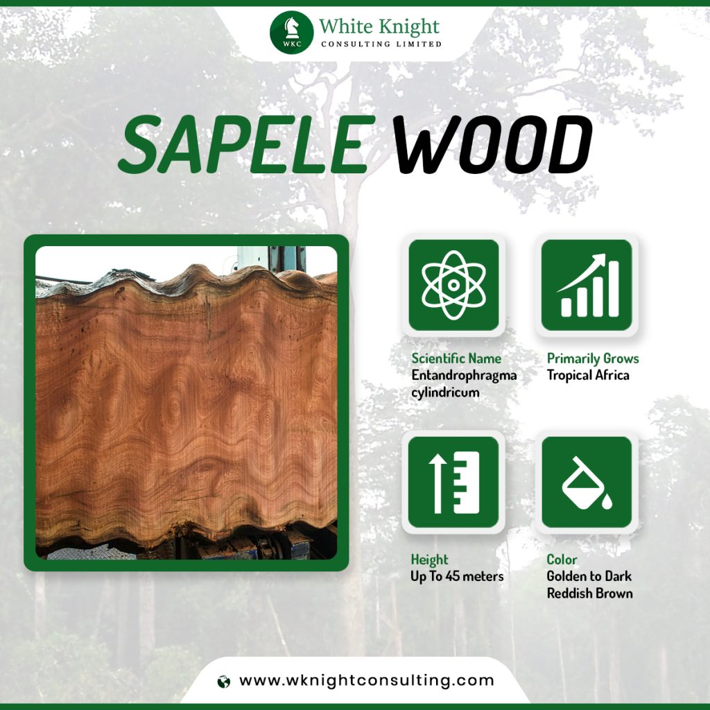 Sapele wood properties