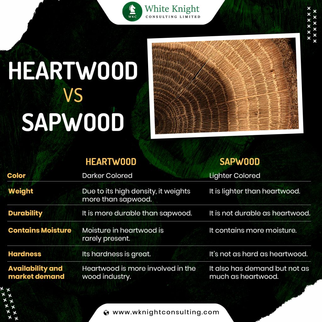 differences between heartwood and sapwood
