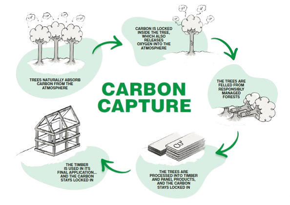 Carbon Capture and Release