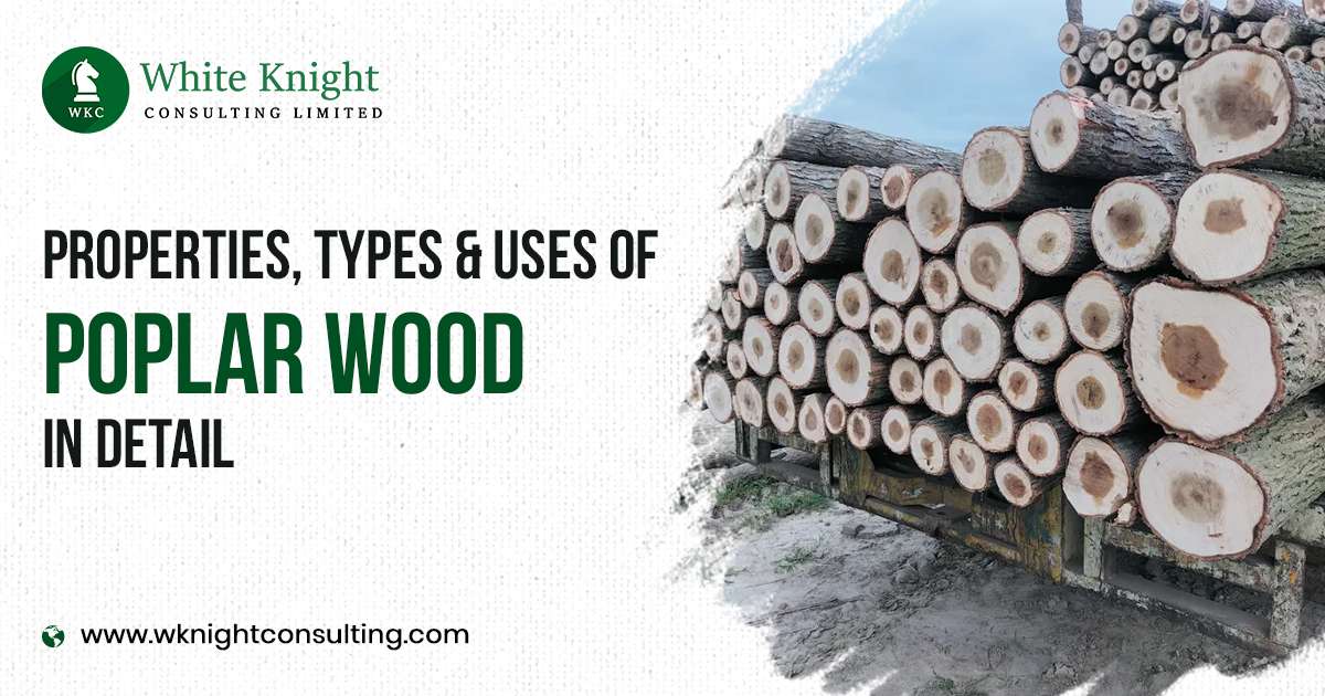 properties, types and uses of poplar wood