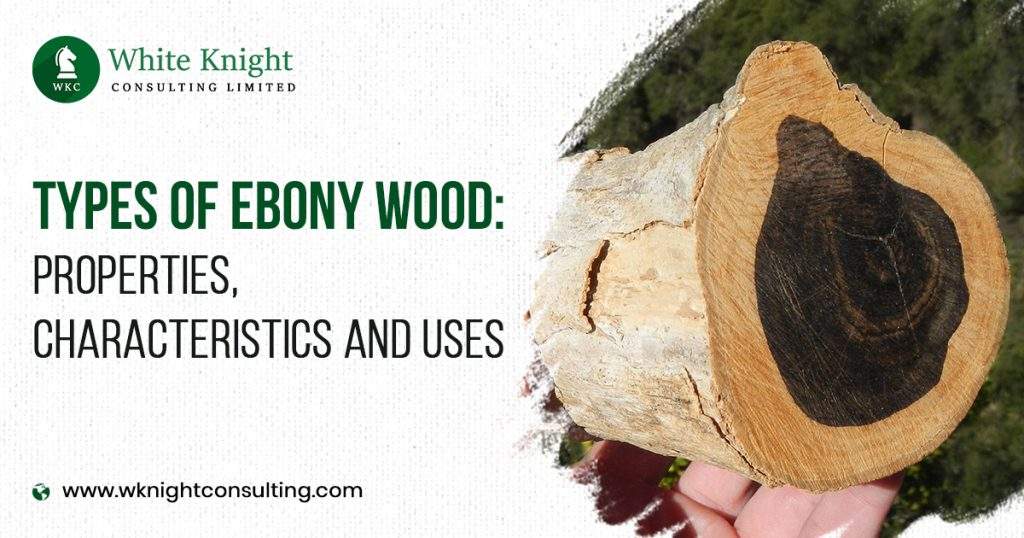 Types of Ebony Wood Properties, characteristics and Uses