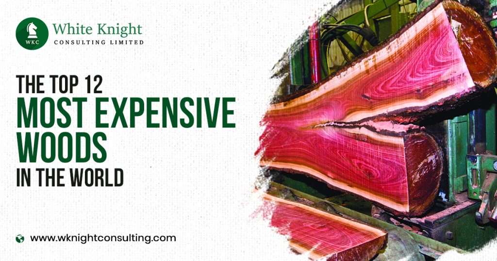 The Top 12 Most Expensive Woods in the World