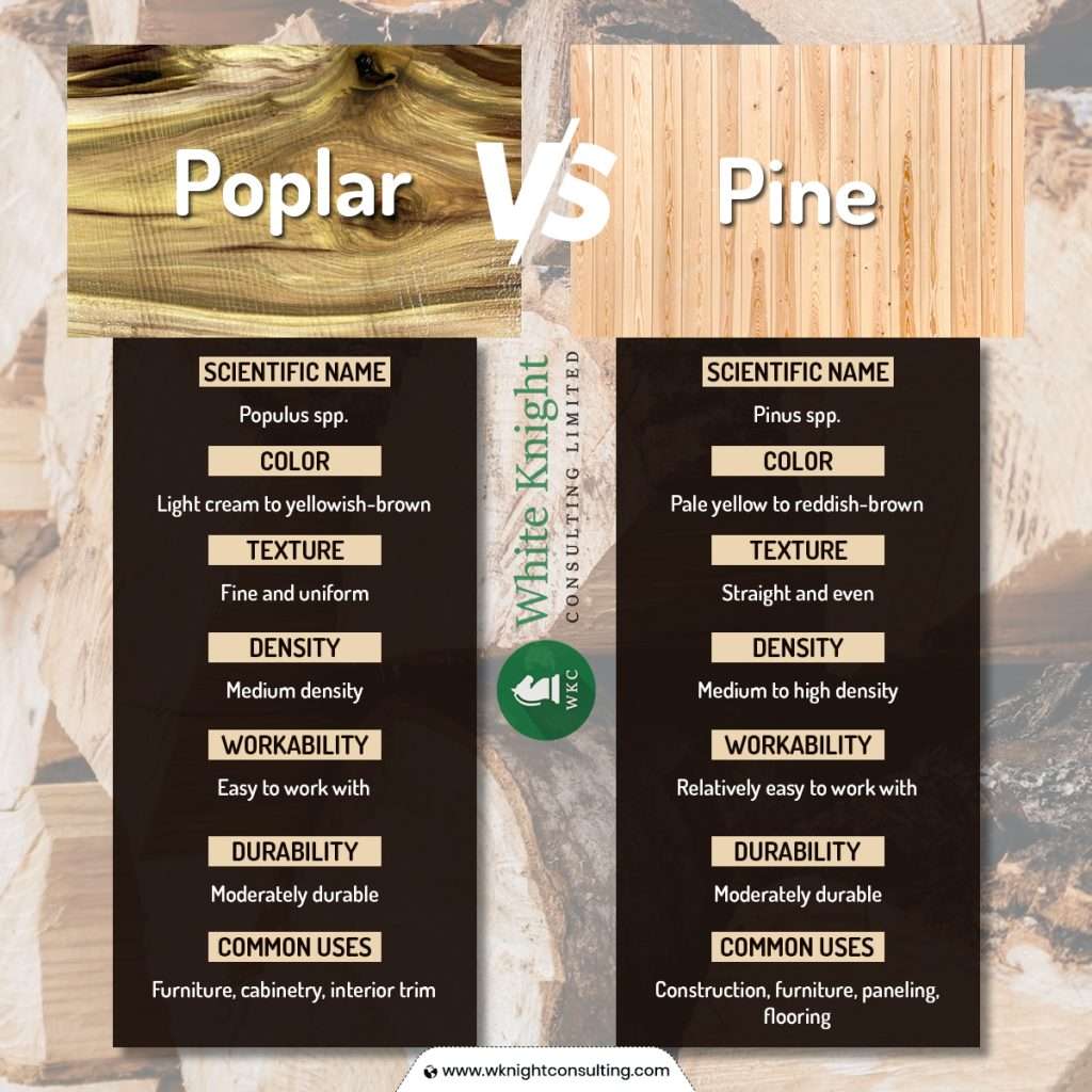 poplar vs pine differences