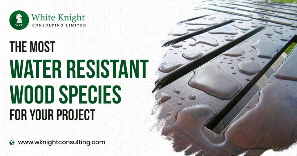 The Most Water Resistant Wood Species for Your Project