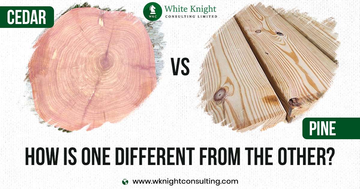 cedar vs pine wood