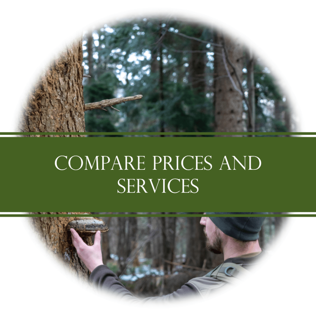 compare timber prices and services