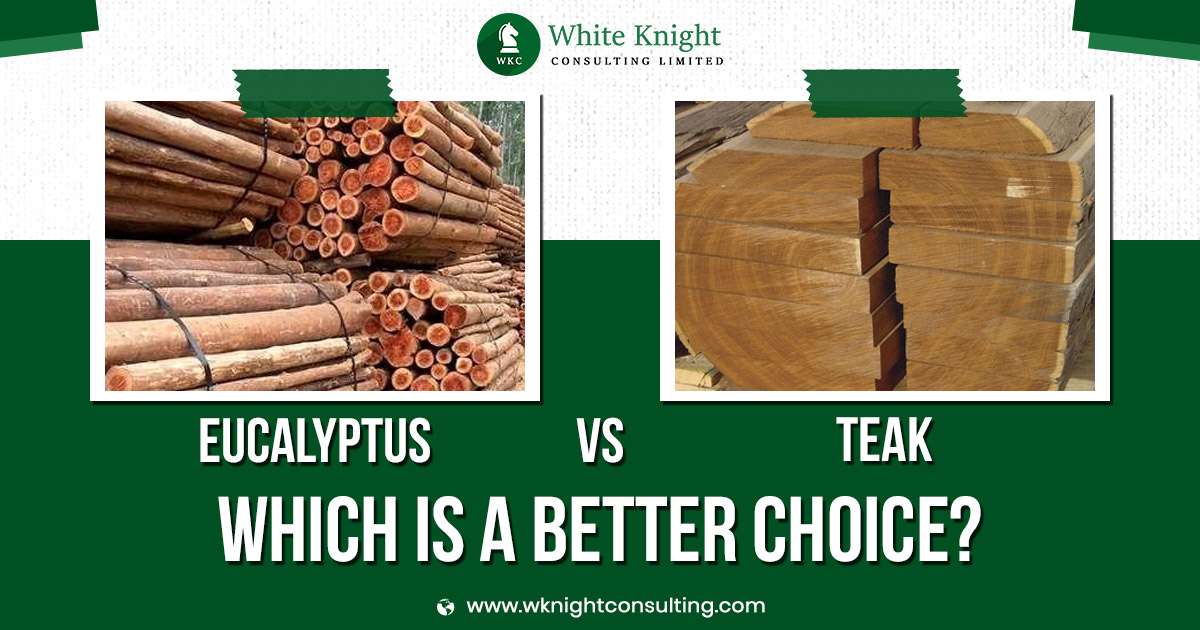 eucalyptus vs teak wood
