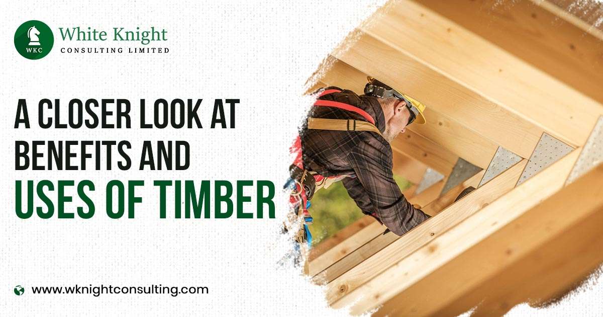 Benefits & uses of timber